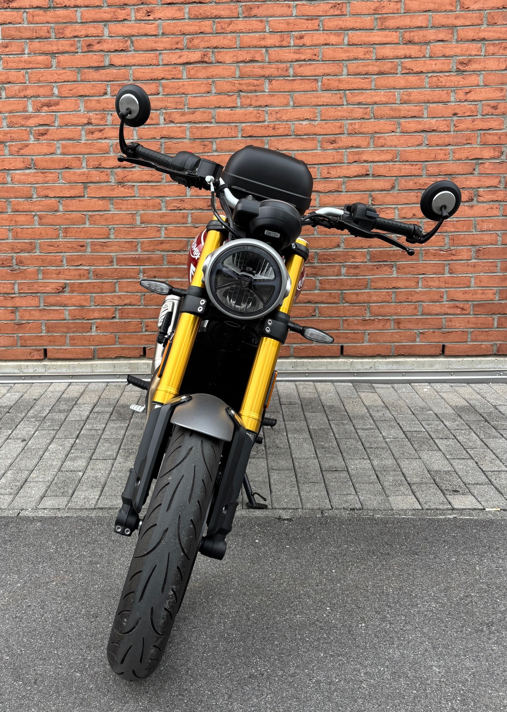 TRIUMPH Speed 400 - 3