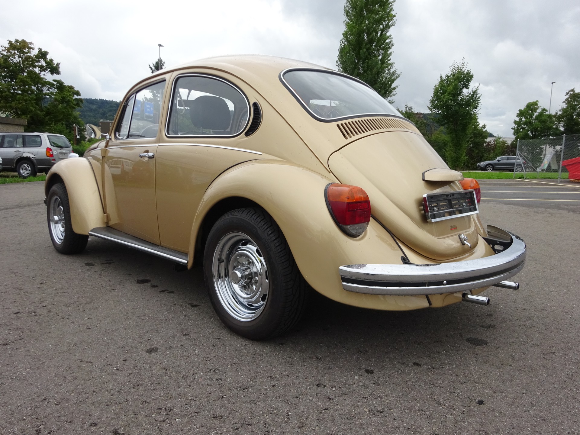 VW 13-1303 - 6