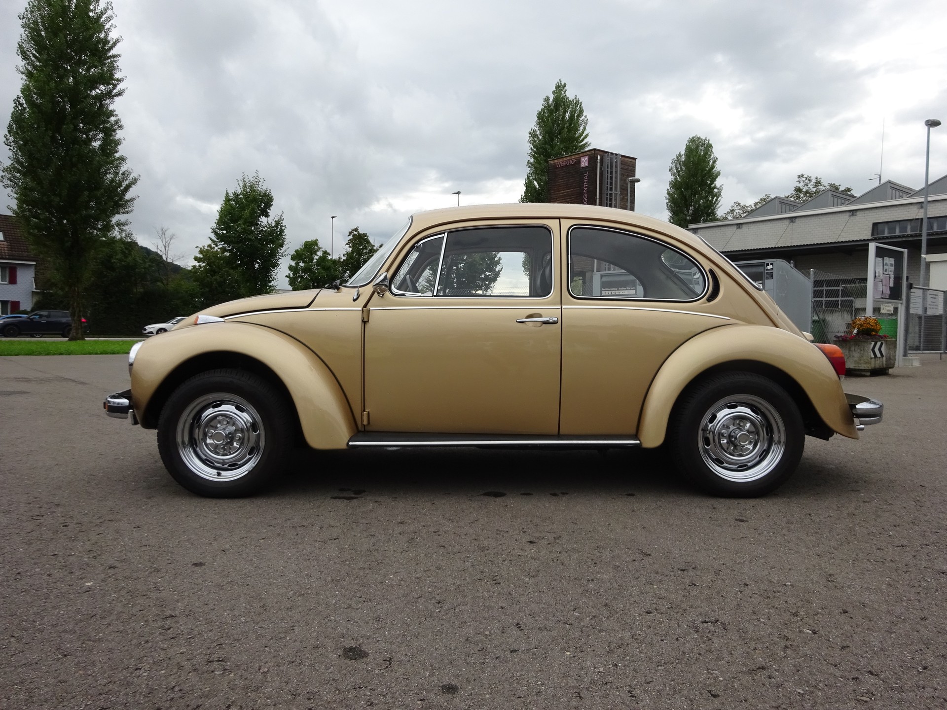 VW 13-1303 - 8