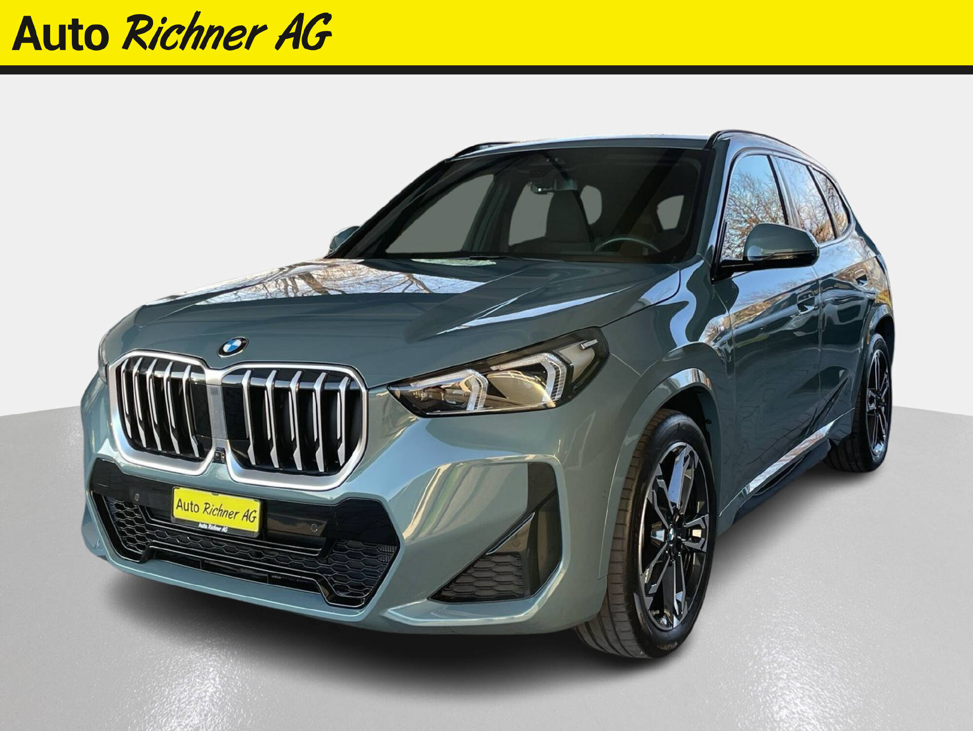 BMW X1 20d xDrive paddles-1