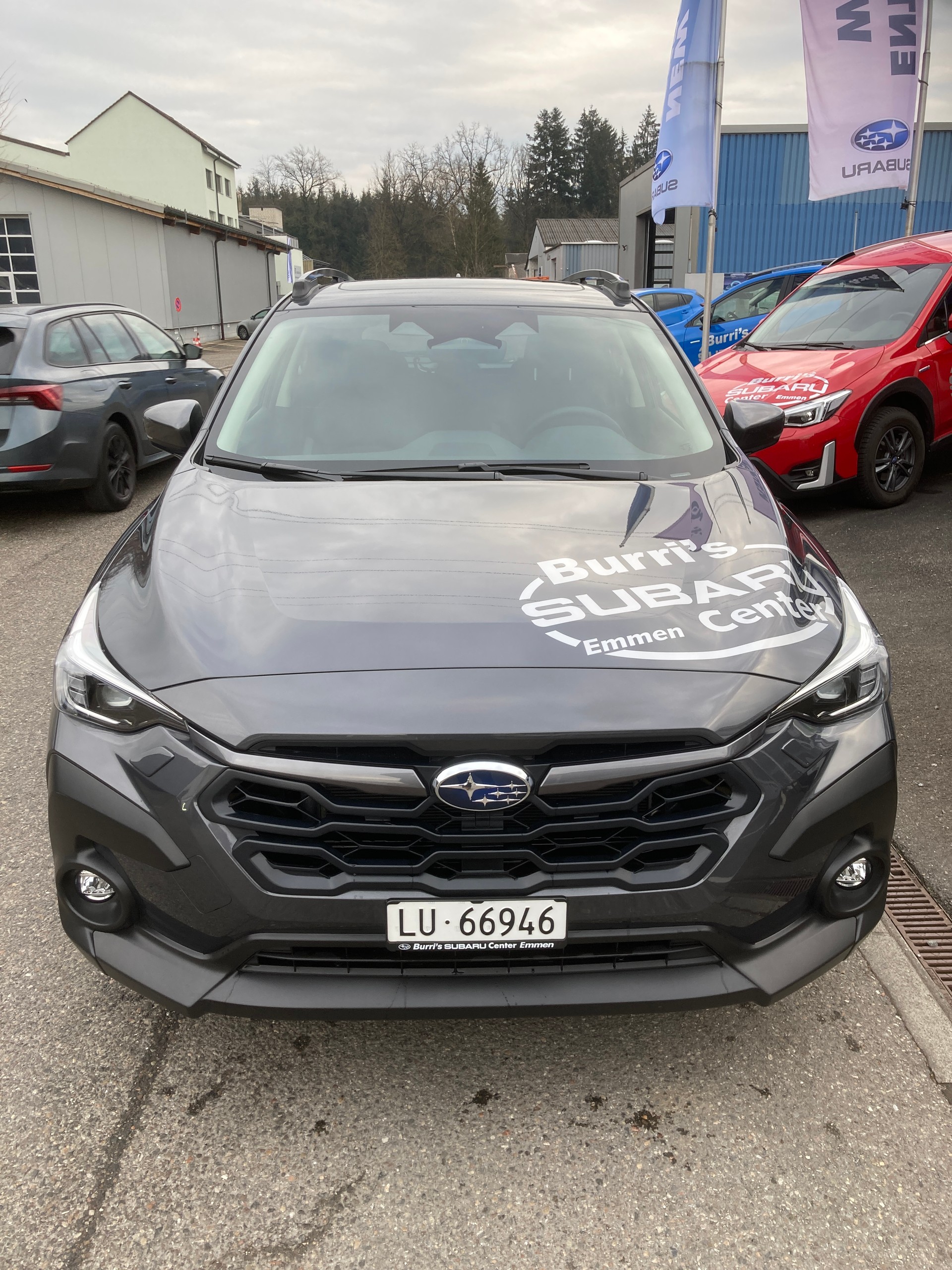 SUBARU Crosstrek 2.0 e-Boxer Luxury AWD Lineartronic - 7