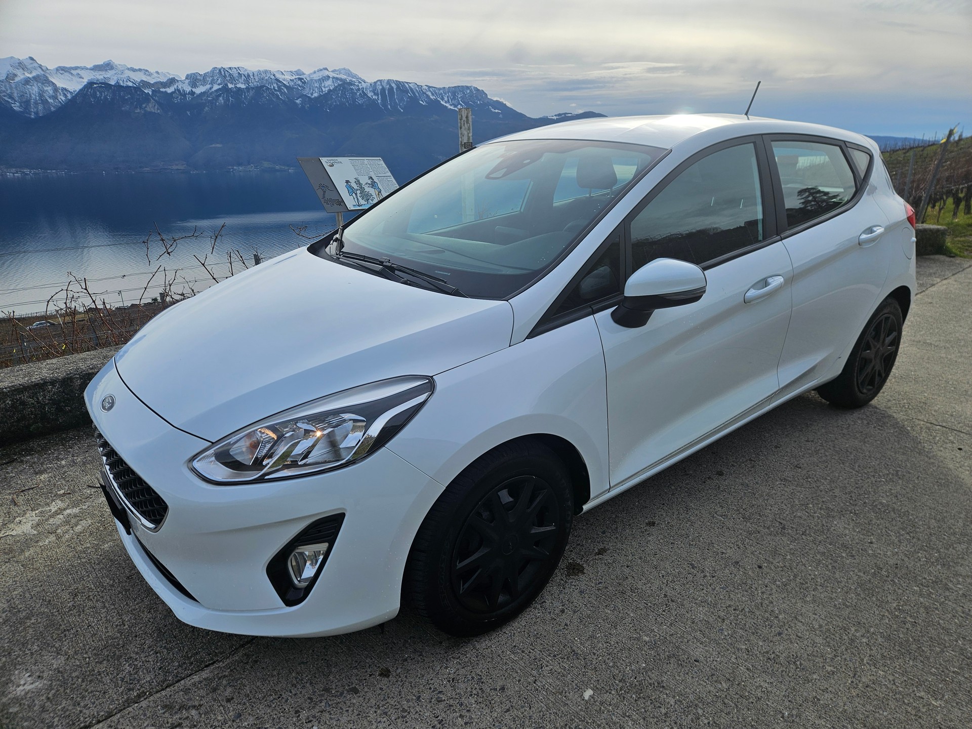 FORD Fiesta 1.0 SCTi Trend