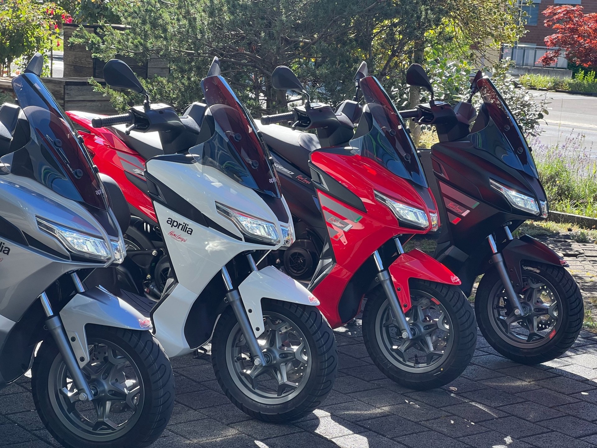 APRILIA SXR 50 (45kM/h) - 8