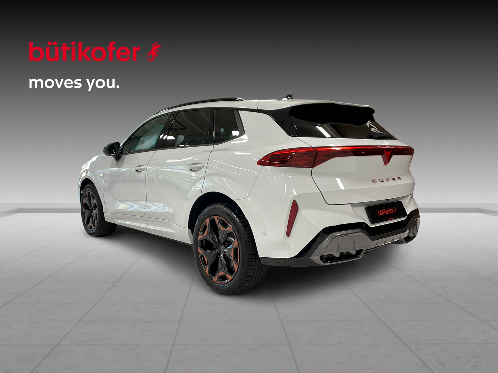 CUPRA Terramar 2.0 TSI 4Drive DSG - 4