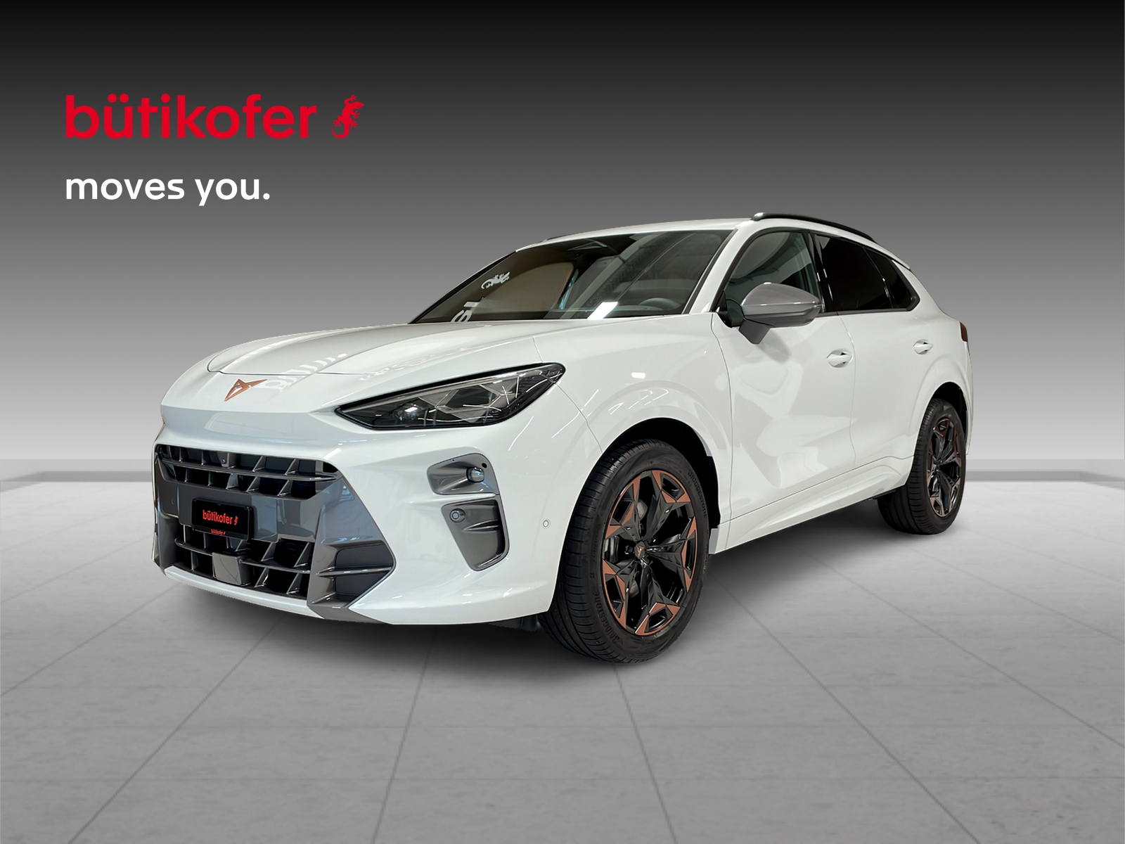 CUPRA Terramar 2.0 TSI 4Drive DSG
