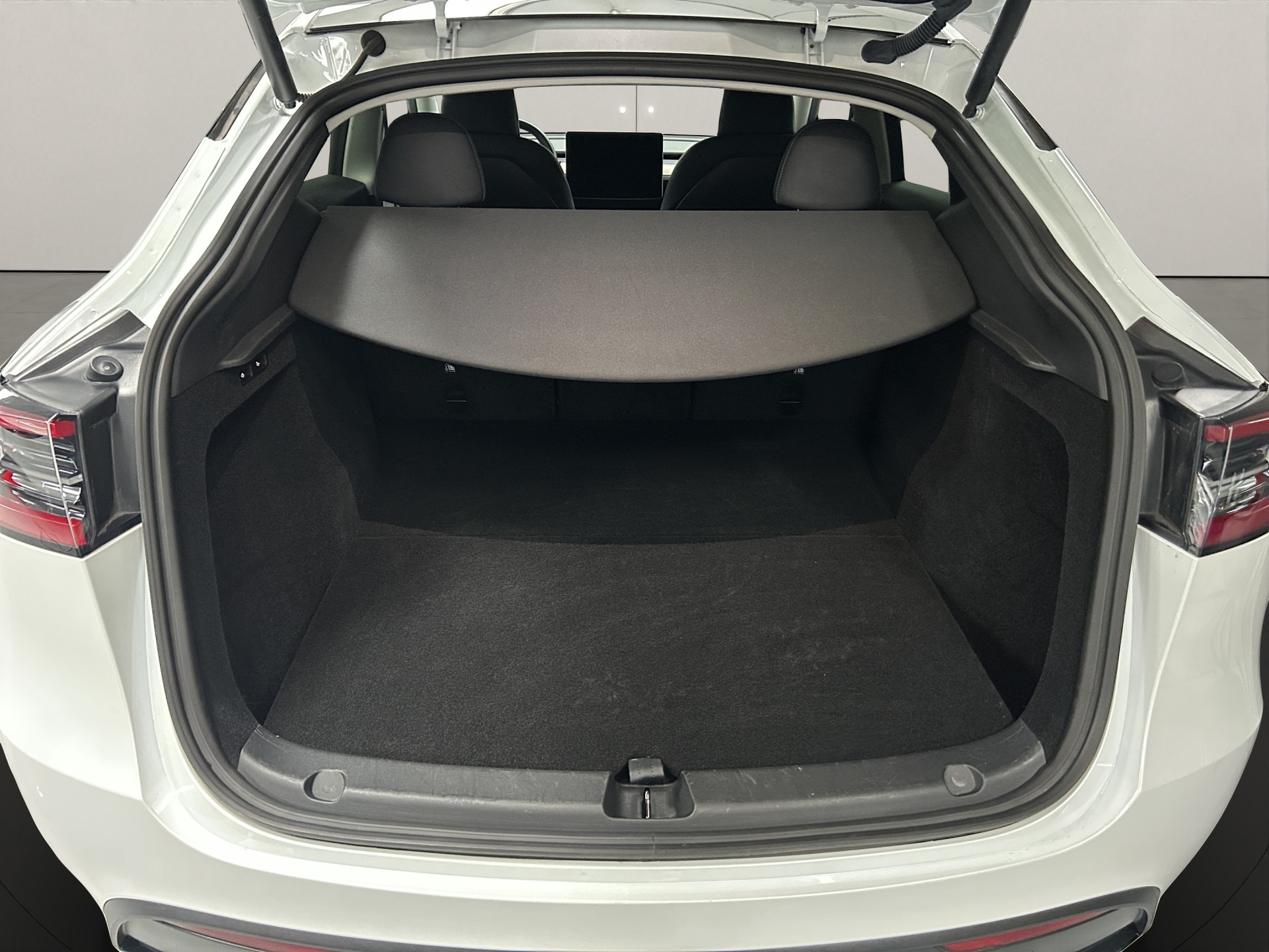 TESLA Model Y Performance - 10