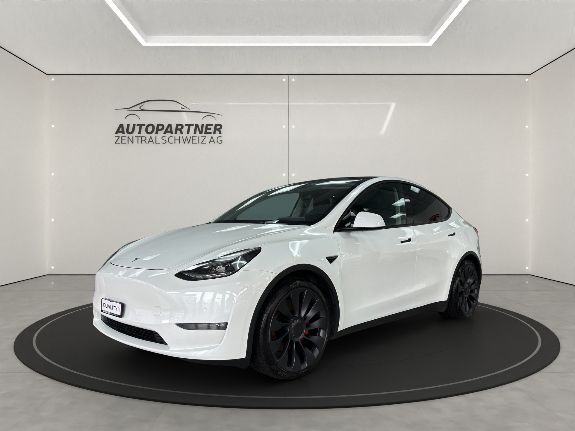 TESLA Model Y Performance - 2