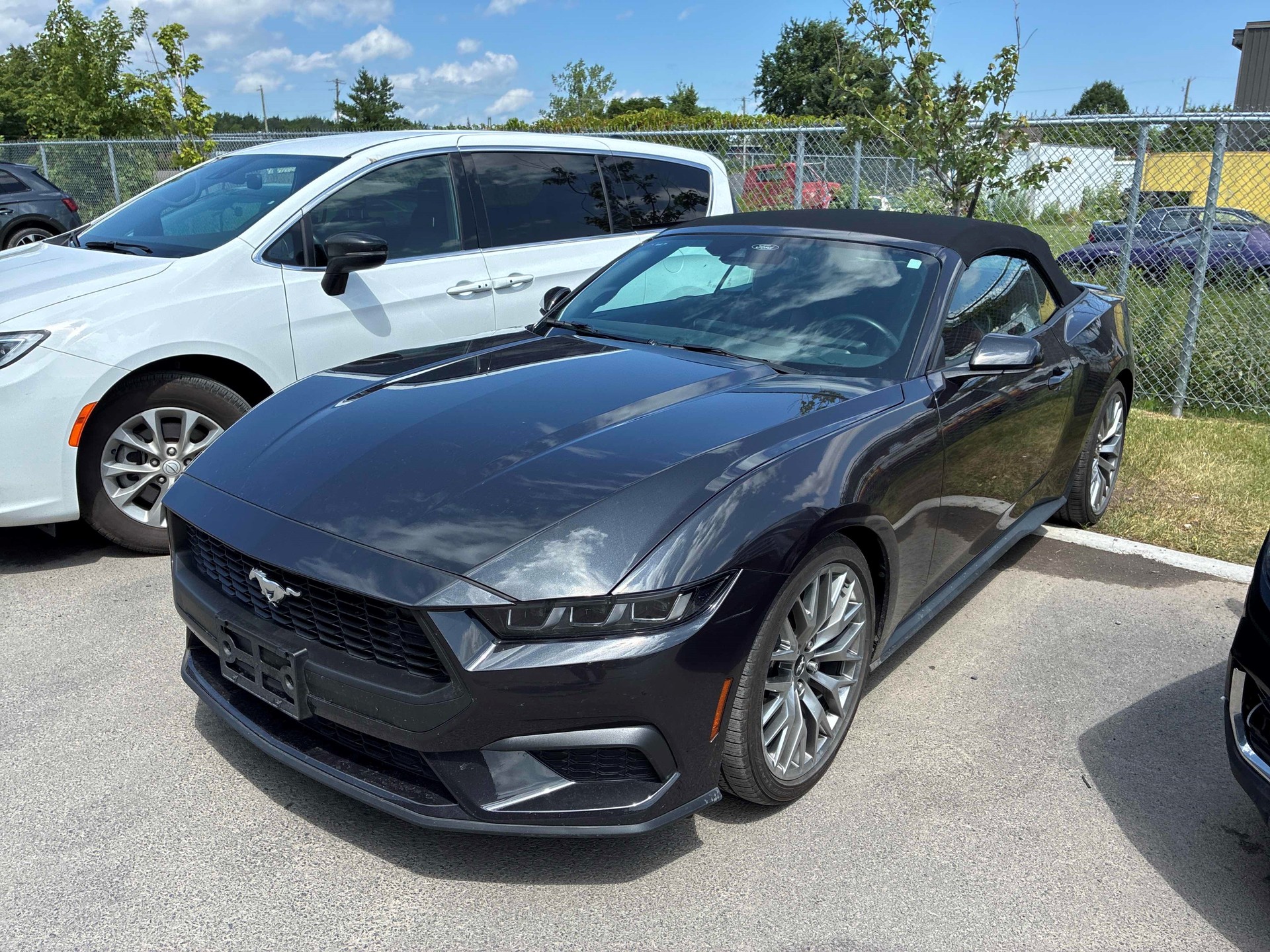 FORD Mustang 2.3 Automat - 5