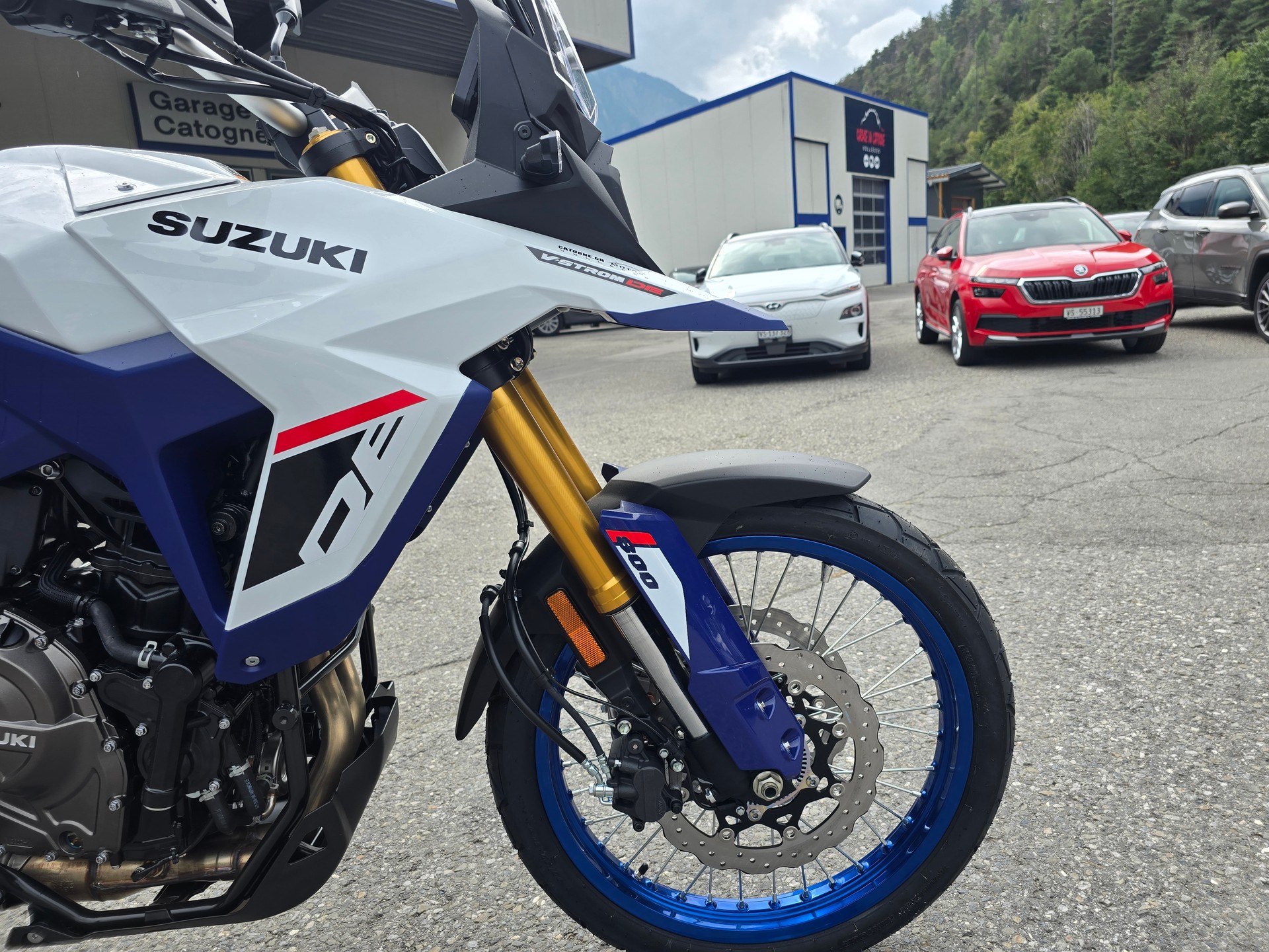 SUZUKI DL 800 DE - 2