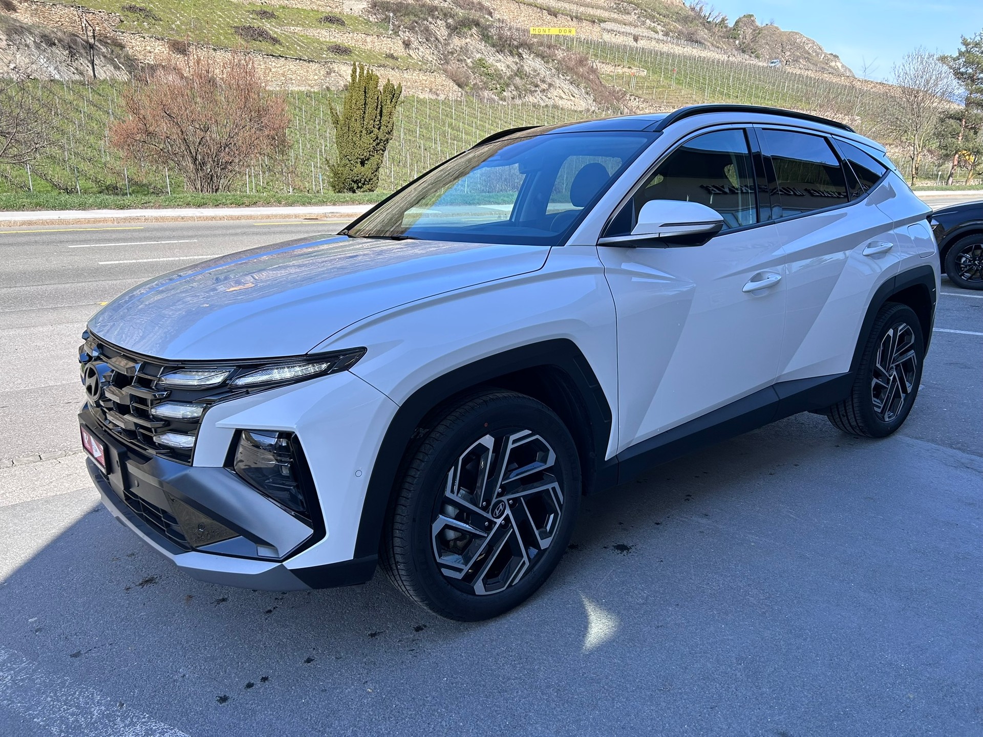 HYUNDAI Tucson 1.6 TGDI HEV Vertex 4WD