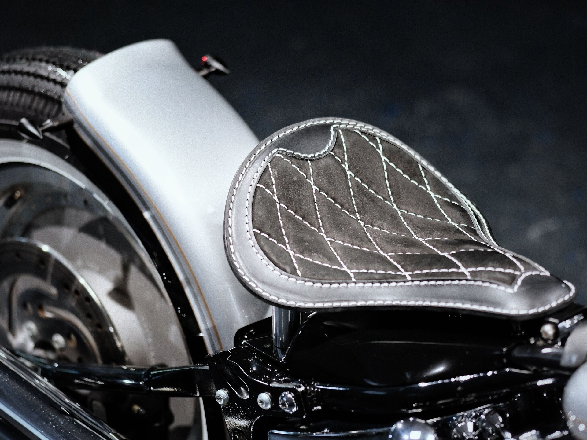 HARLEY-DAVIDSON FLSTF-I Fat Boy (25 kW) - 10