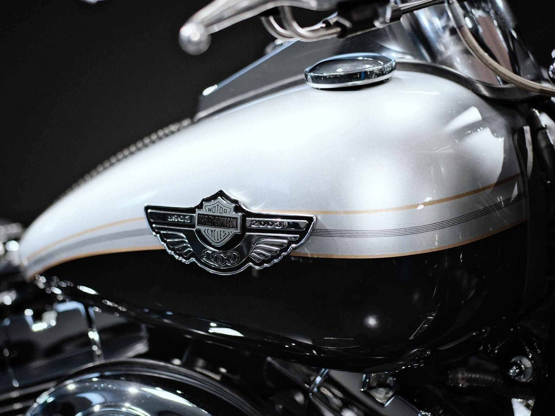 HARLEY-DAVIDSON FLSTF-I Fat Boy (25 kW) - 9