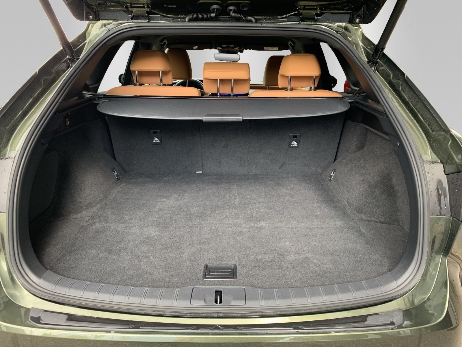 LEXUS RX 350h Comfort - 13