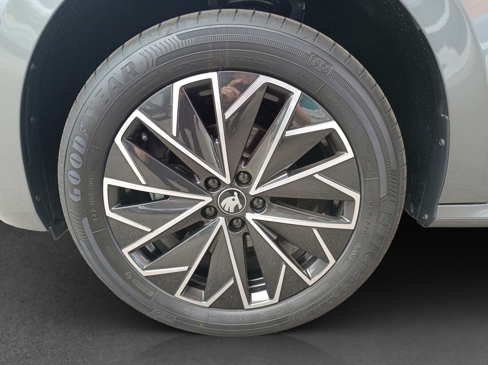 SKODA Kamiq 1.0 TSI Selection DSG - 16