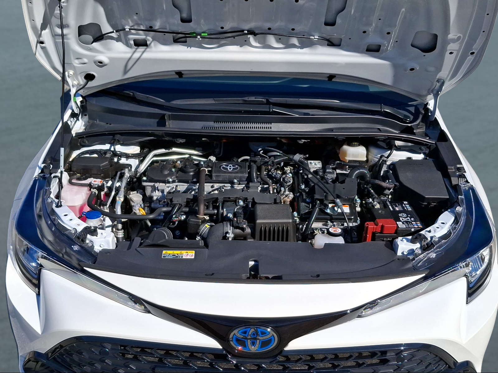 TOYOTA Corolla Touring Sports 1.8 HSD Comfort e-CVT - 14