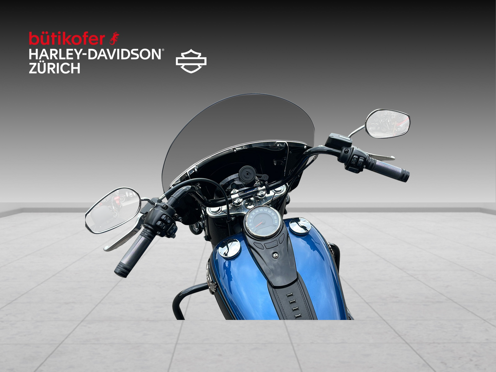 HARLEY-DAVIDSON FLHCS Heritage Classic 114 ABS - 9