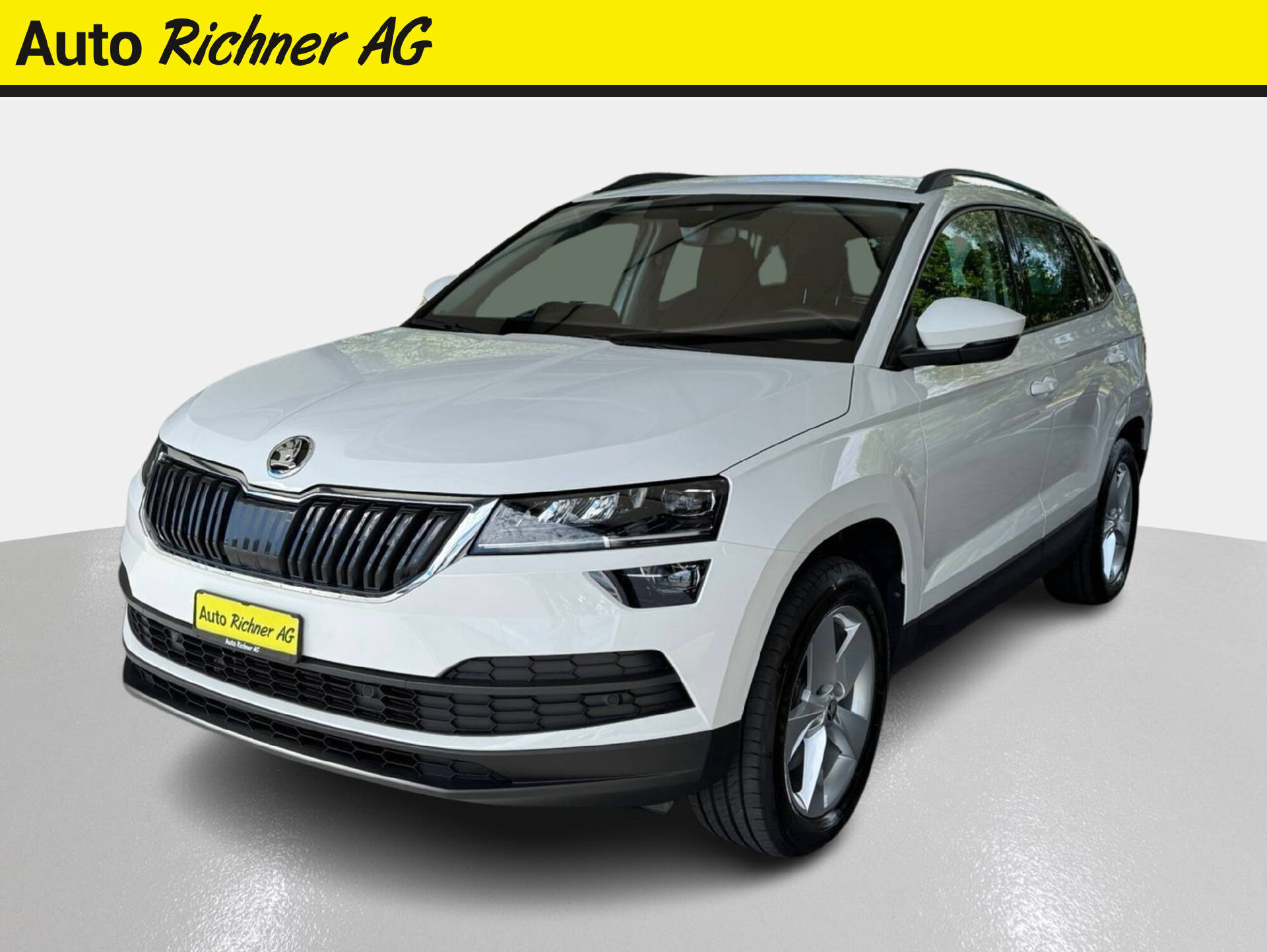 SKODA Karoq 2.0 TDI Ambition 4×4 DSG-1