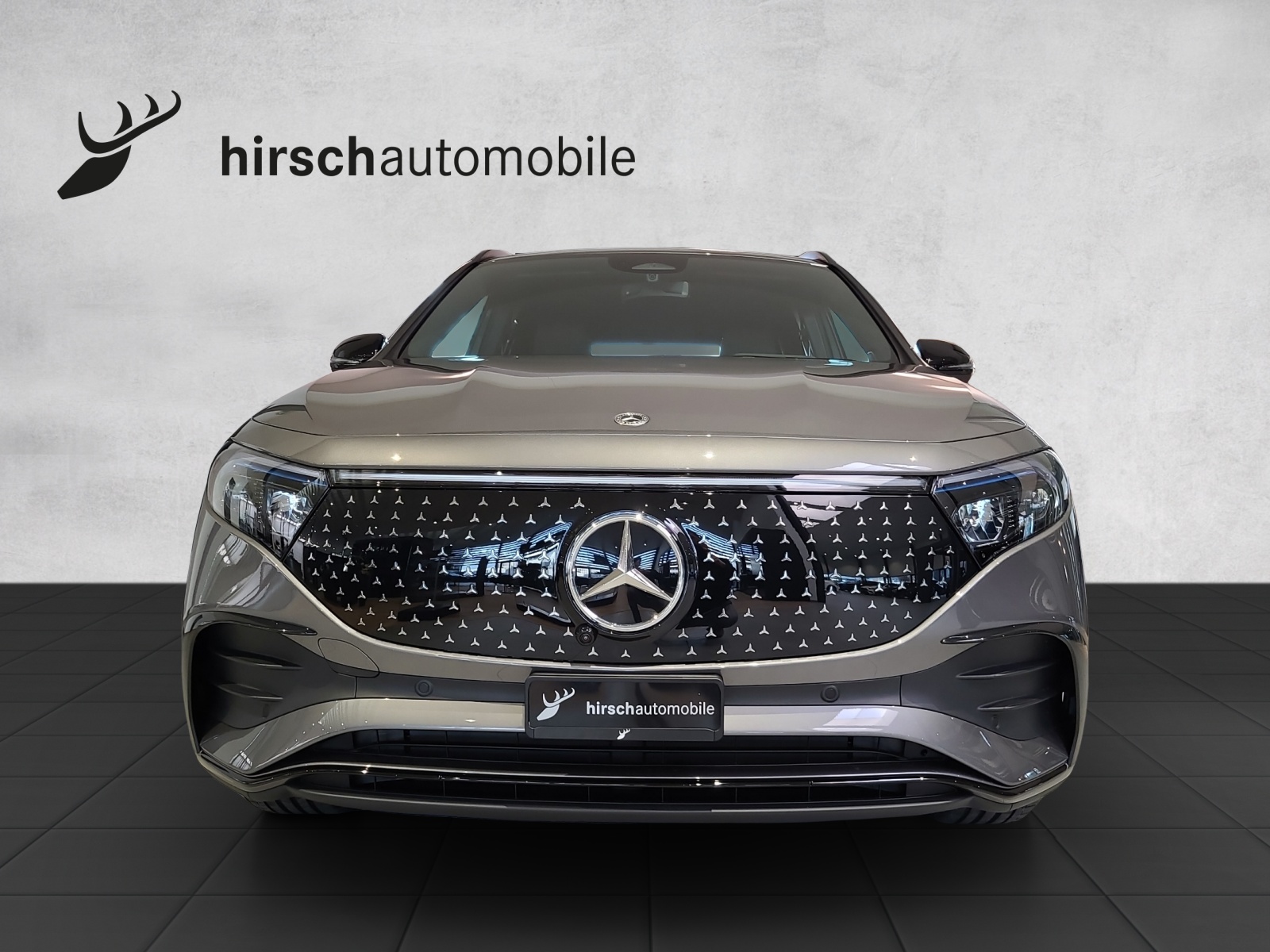 MERCEDES-BENZ EQA 350 66,5 kWh 4Matic Excellence - 6