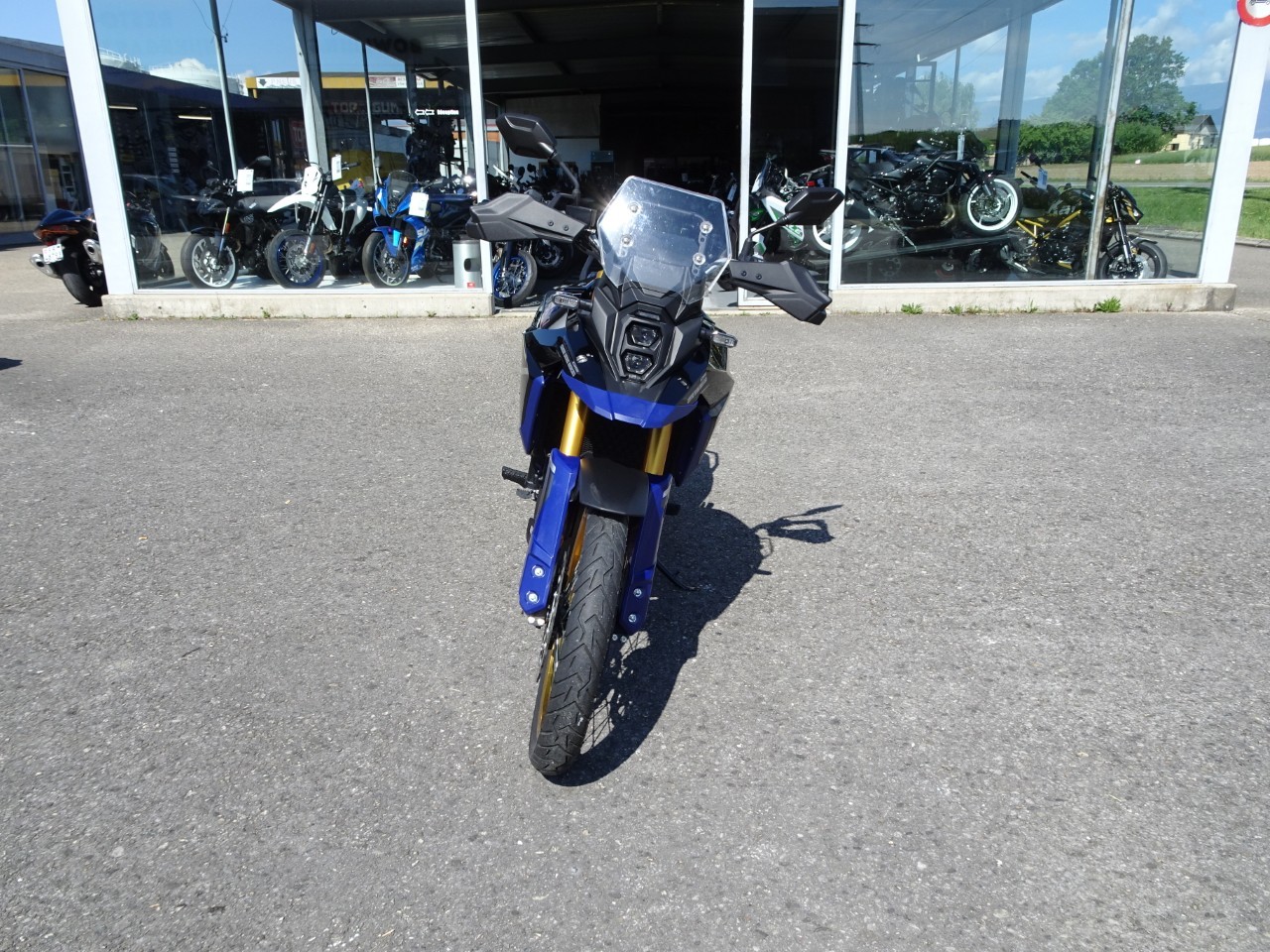 SUZUKI DL 800 DE - 3