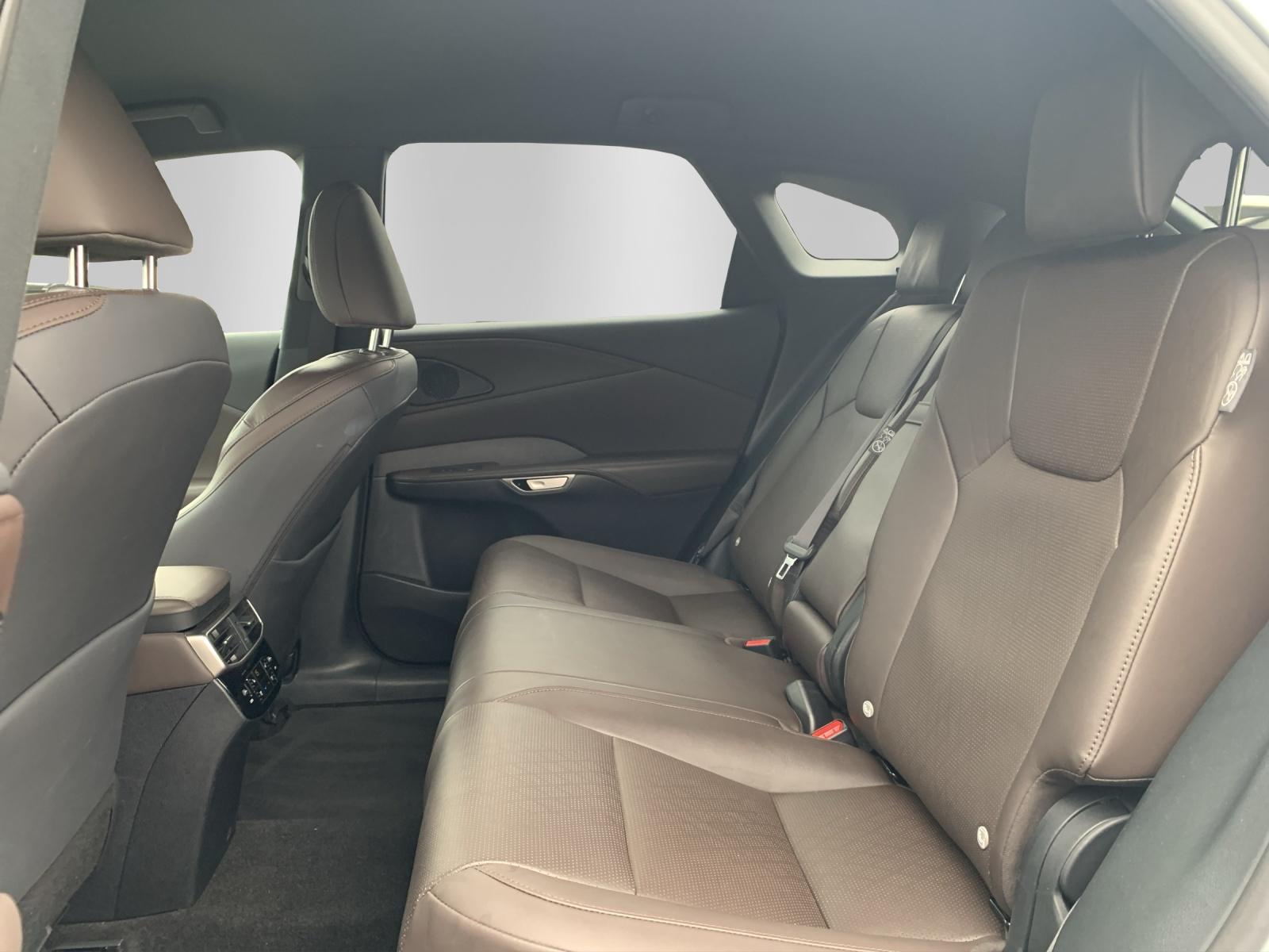 LEXUS RX 350h F-Line - 11