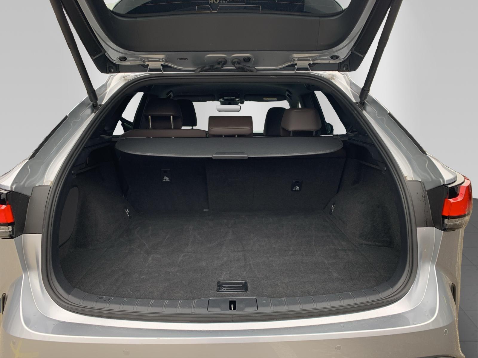 LEXUS RX 350h F-Line - 13