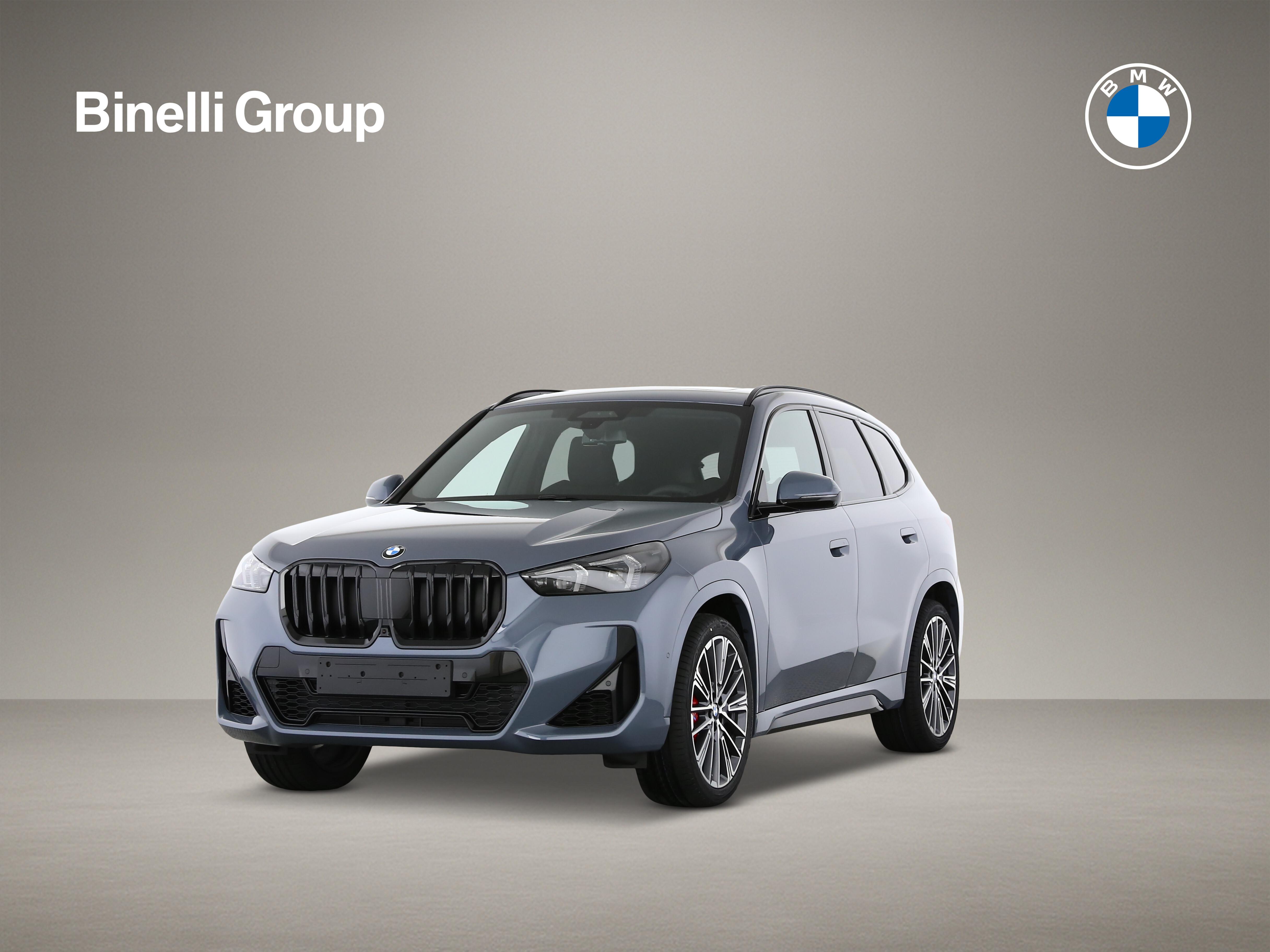 X1 23i xDrive paddles