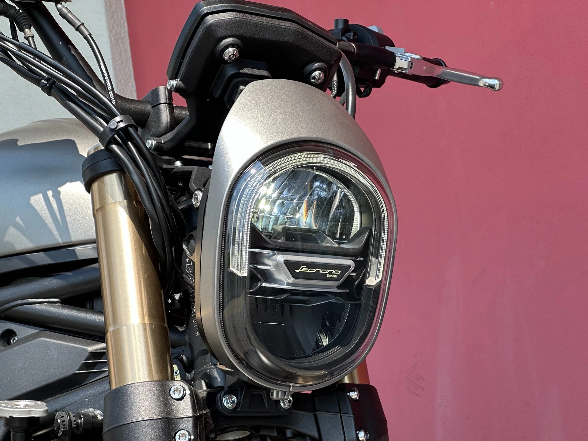 BENELLI Leoncino 800 oRo (xx/25) (35KW) - 13