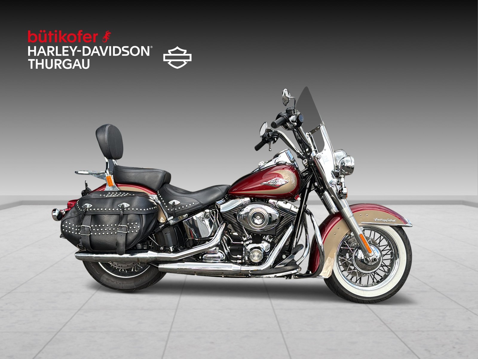 HARLEY-DAVIDSON FLSTCI Softail Classic - 2