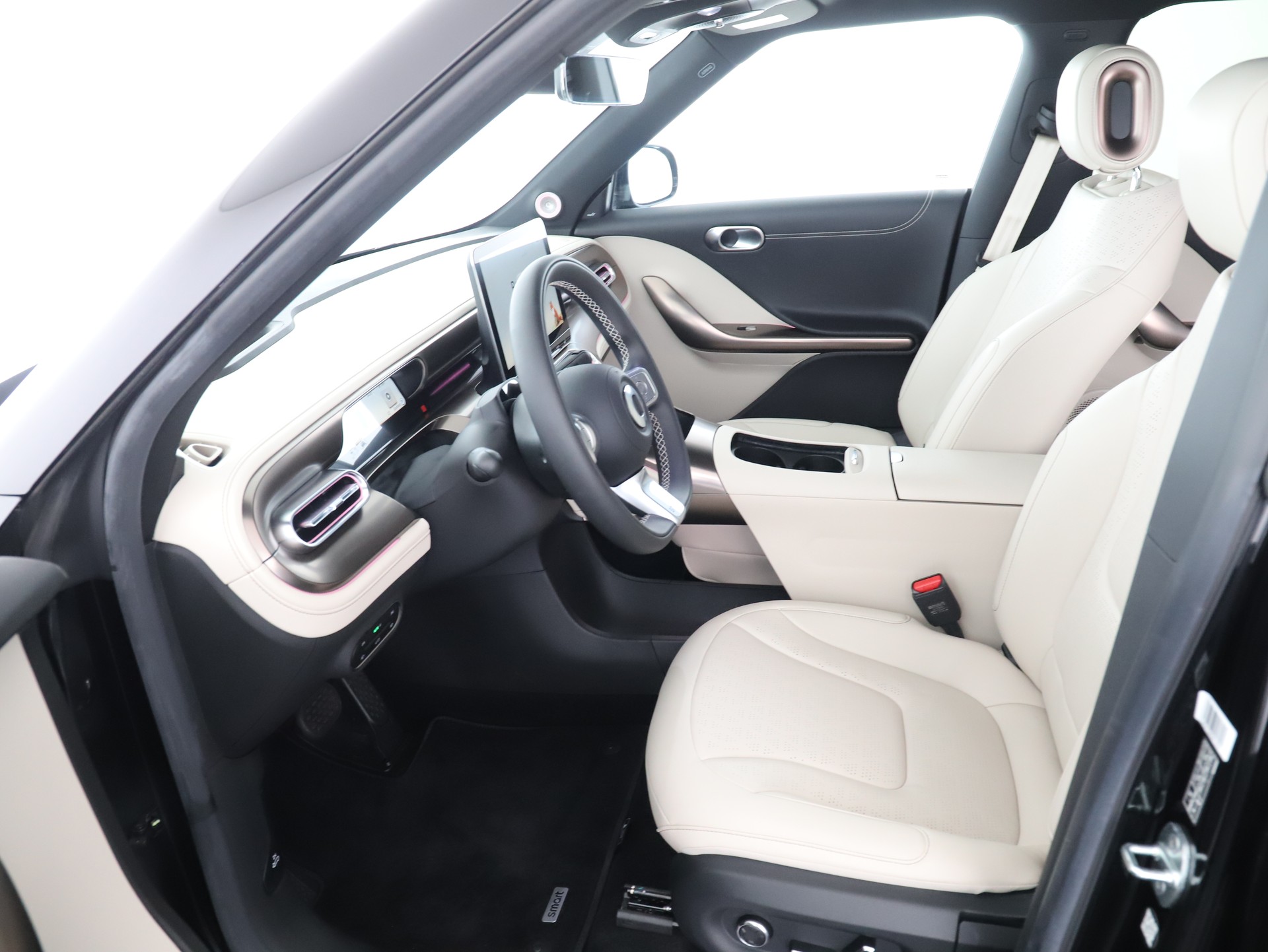 SMART #1 66kWh Premium - 9