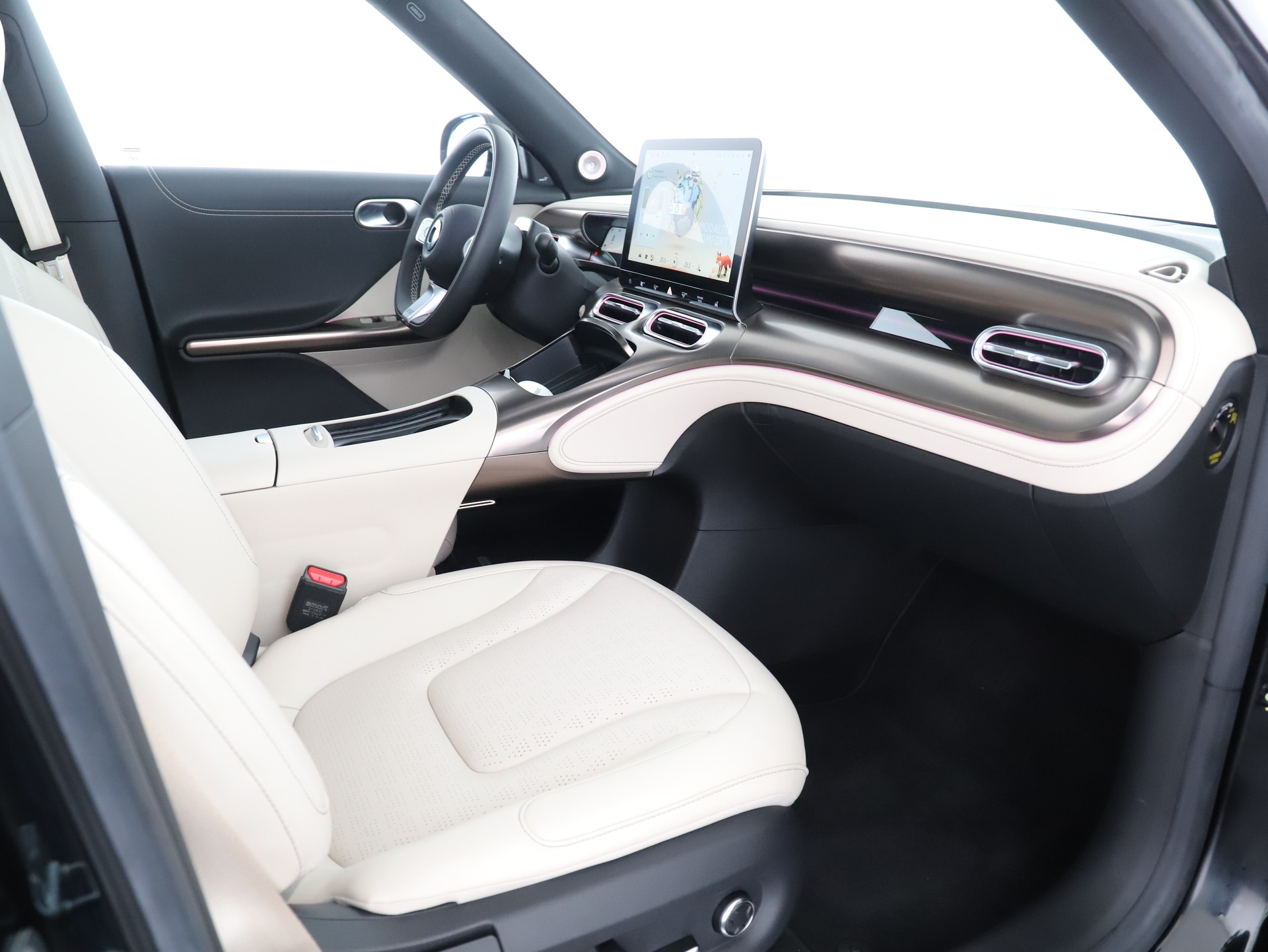 SMART #1 66kWh Premium - 10