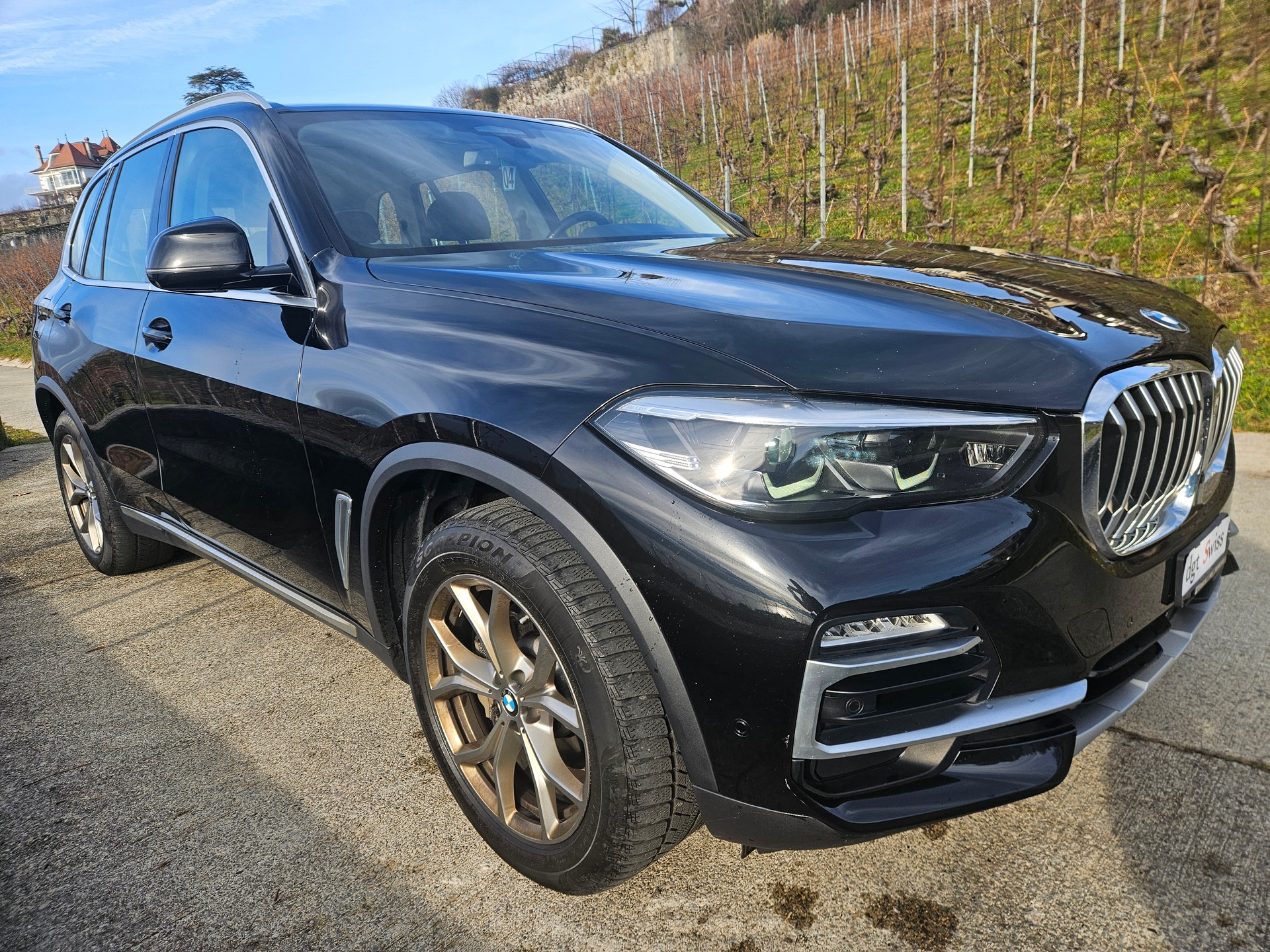BMW X5 xDrive 30d xLine Steptronic - 10