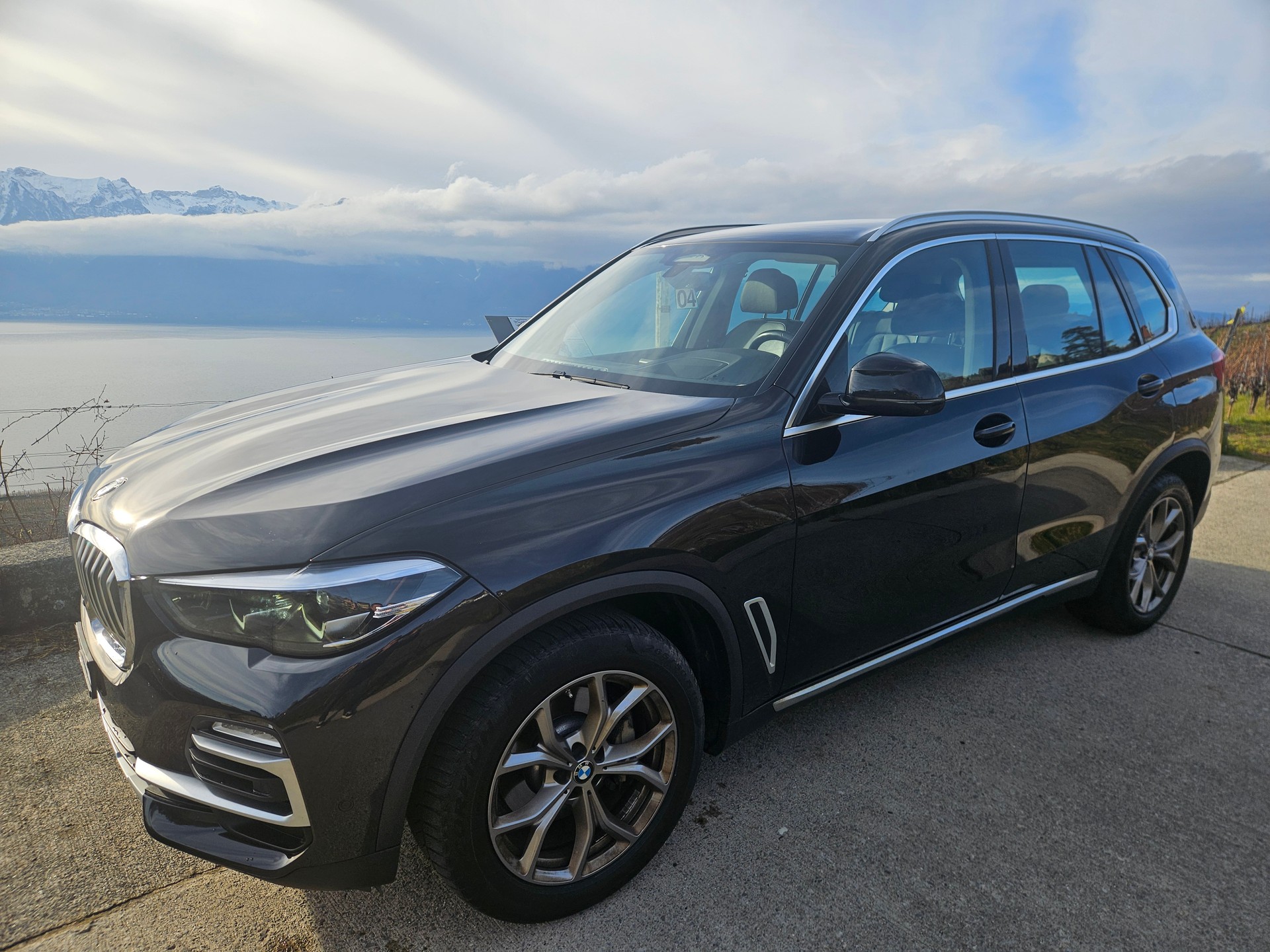 BMW X5 xDrive 30d xLine Steptronic