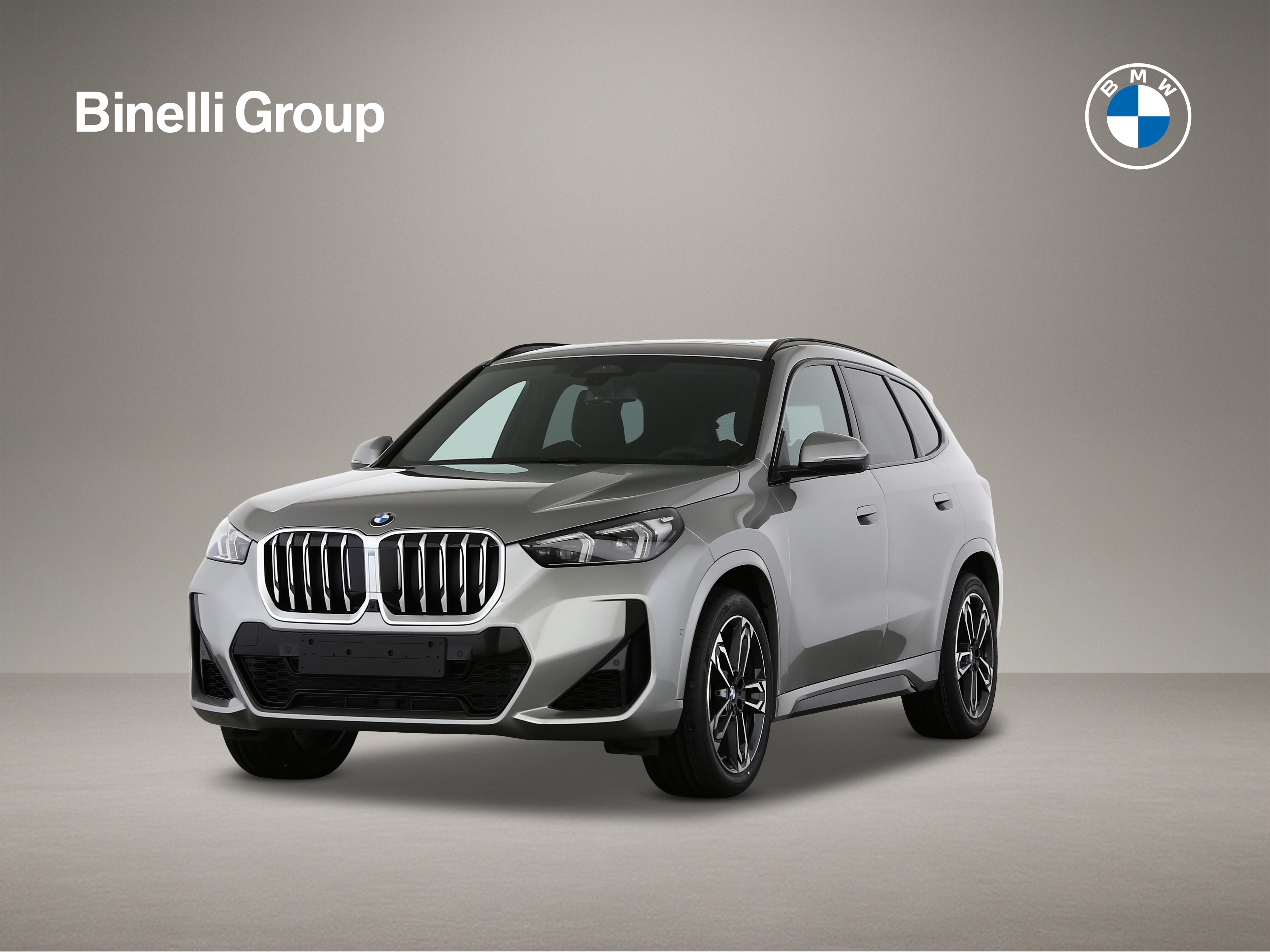 X1 23i xDrive paddles