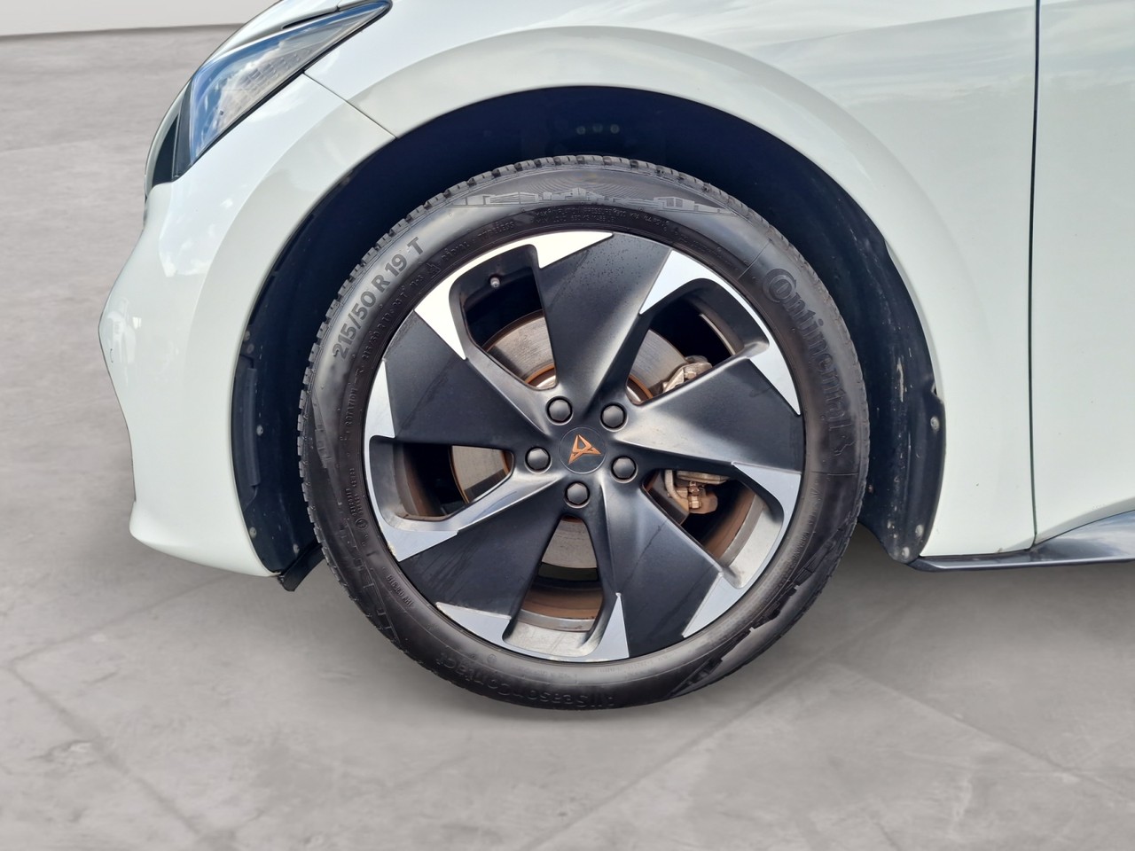 cupra Gallery 9