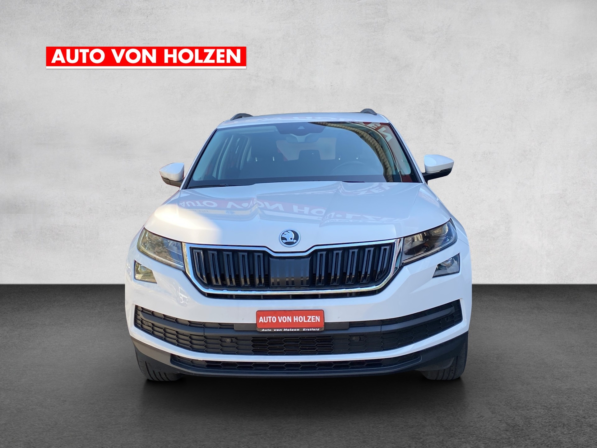 SKODA Kodiaq 2.0 TDI CR Active 4x4 - 6