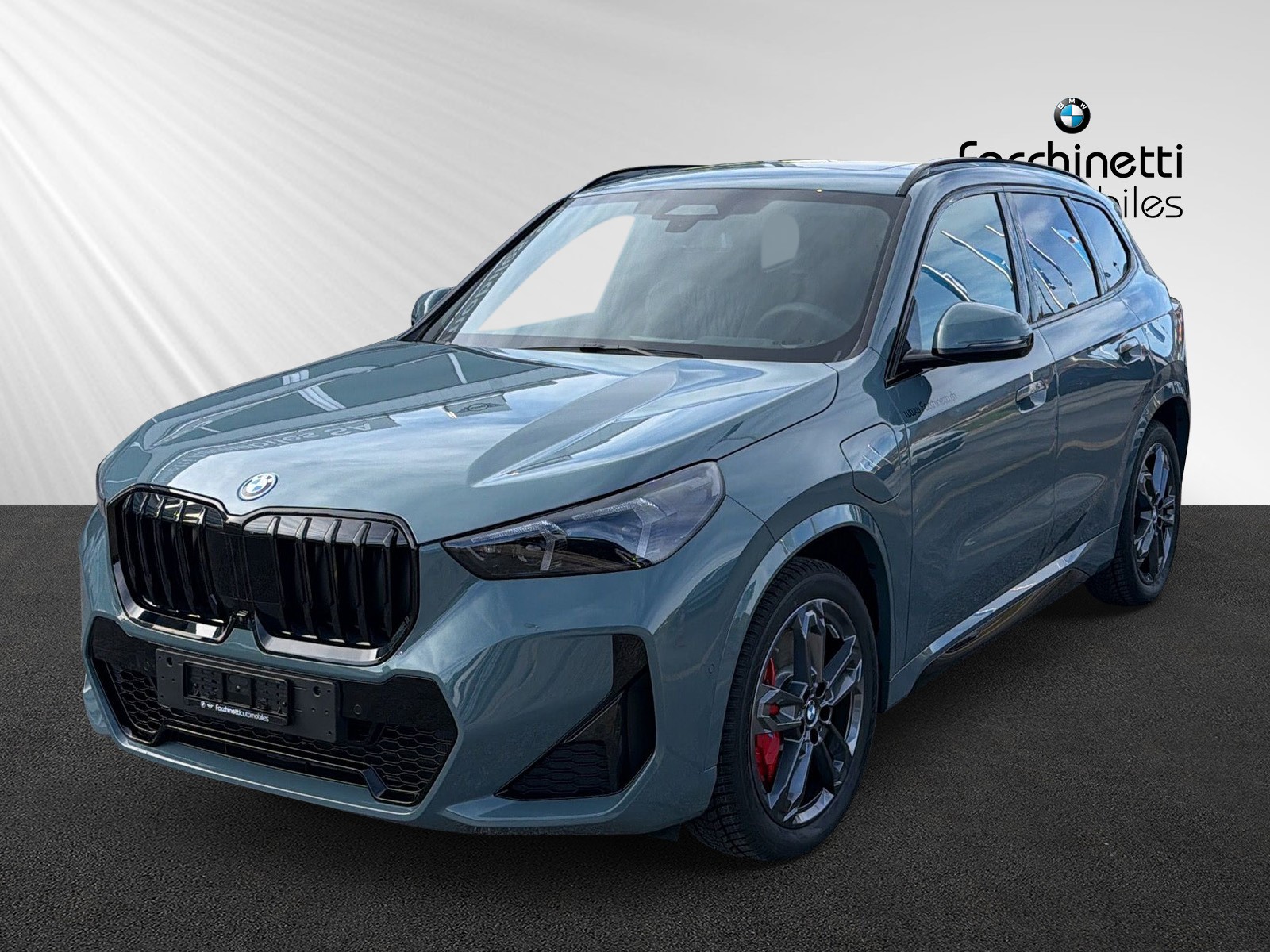 BMW X1 xDrive 30e M Sport Pro