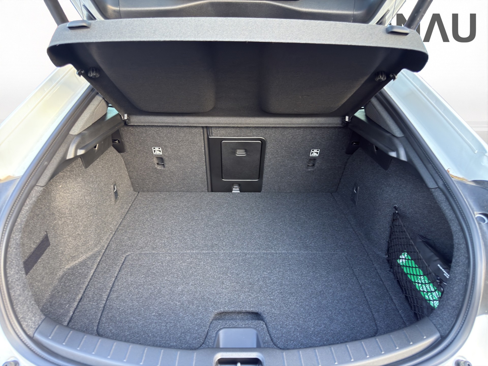 POLESTAR POLESTAR 2 Long Range Dual Motor Performance Plus - 18