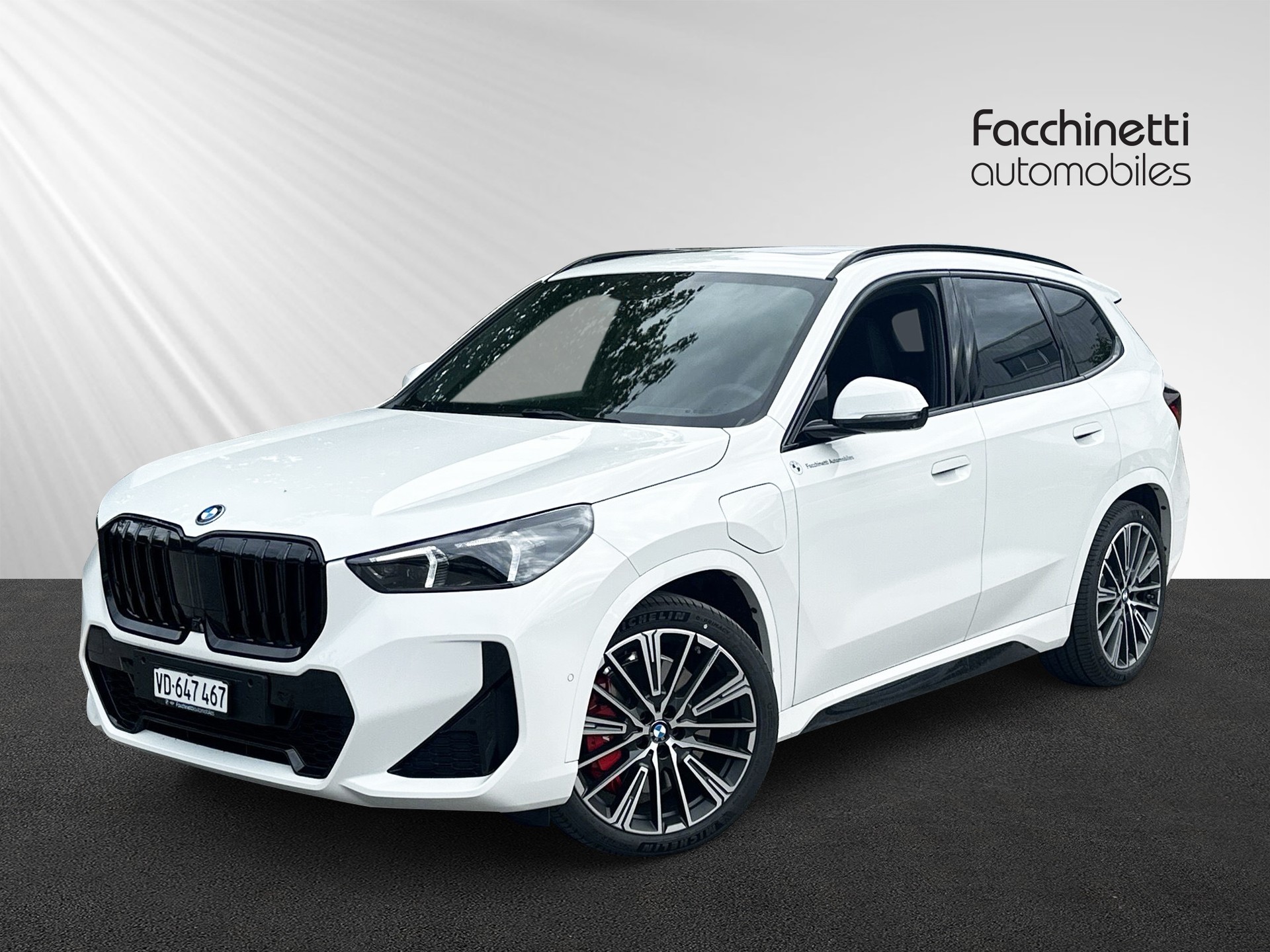 BMW X1 xDrive 30e M Sport Pro