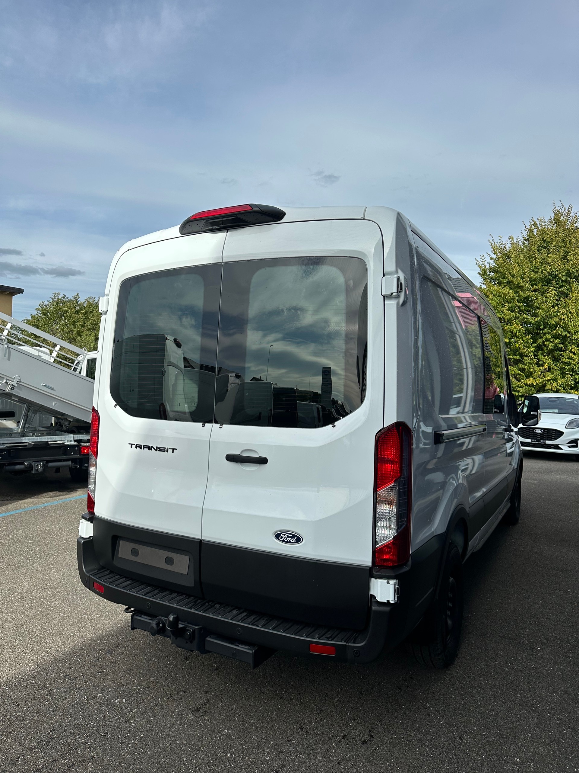 FORD Transit van 350 L3H2 2.0 EcoBl Trend/165CV HD/Aut. - 6