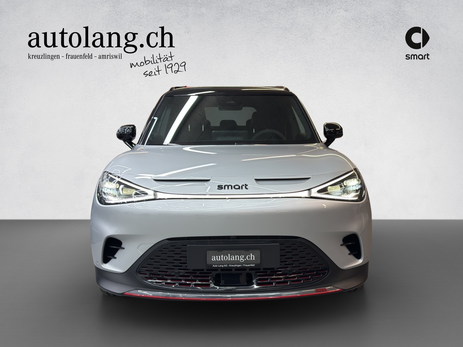 SMART #1 Brabus 4x4 66 kWh, 22kW - 15