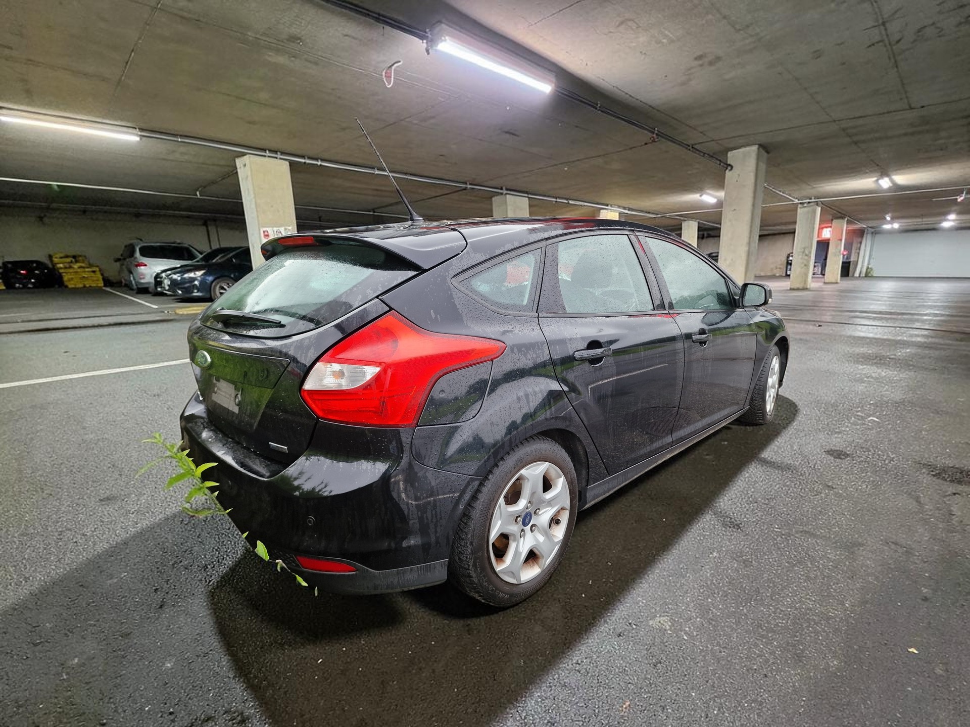 FORD Focus 1.0 SCTi Titanium Motorschaden 8x Alu - 2