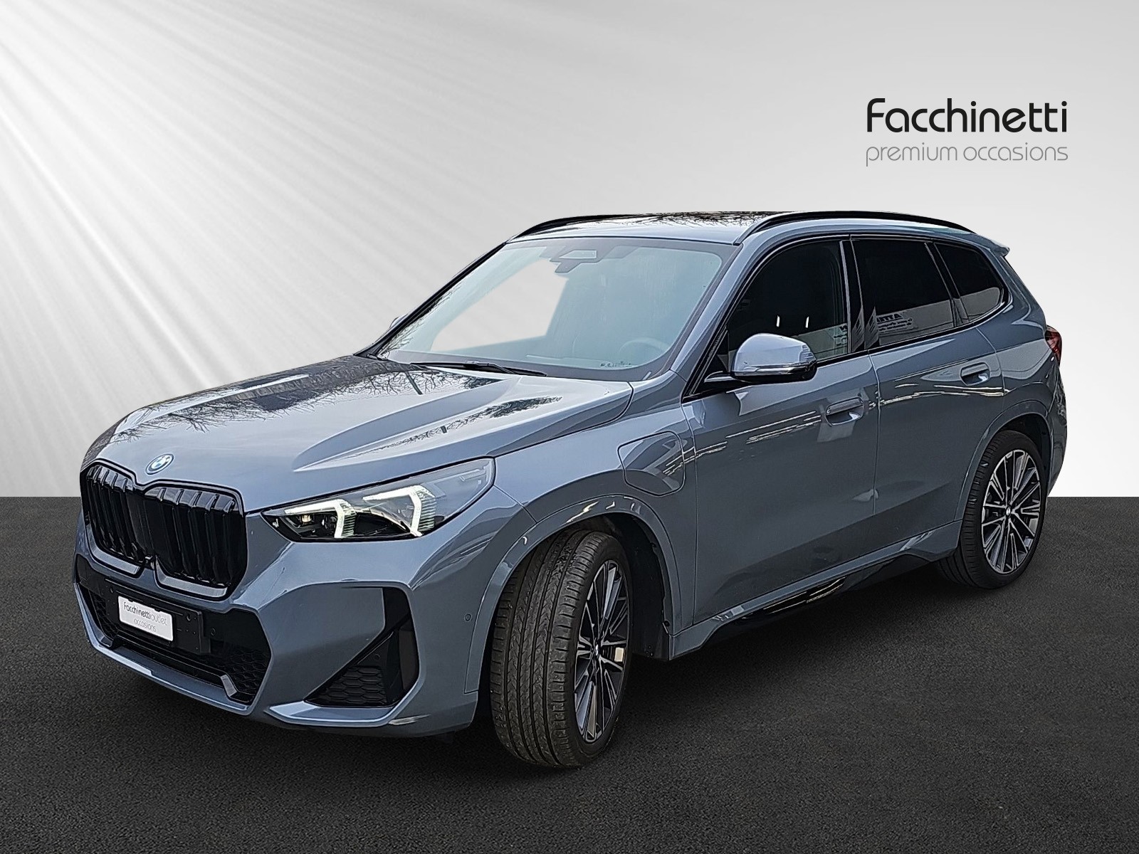 BMW X1 xDrive 30e M Sport Pro