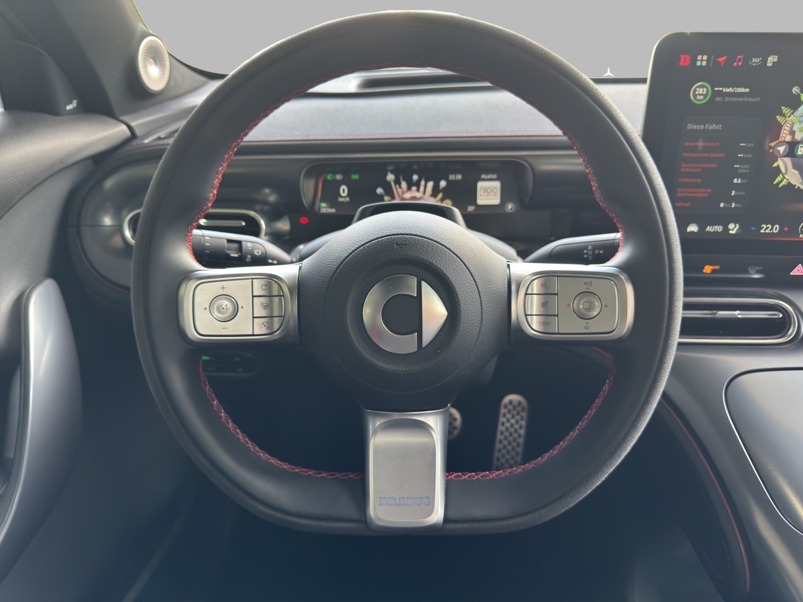 SMART #1 66 kWh Brabus AWD - 13