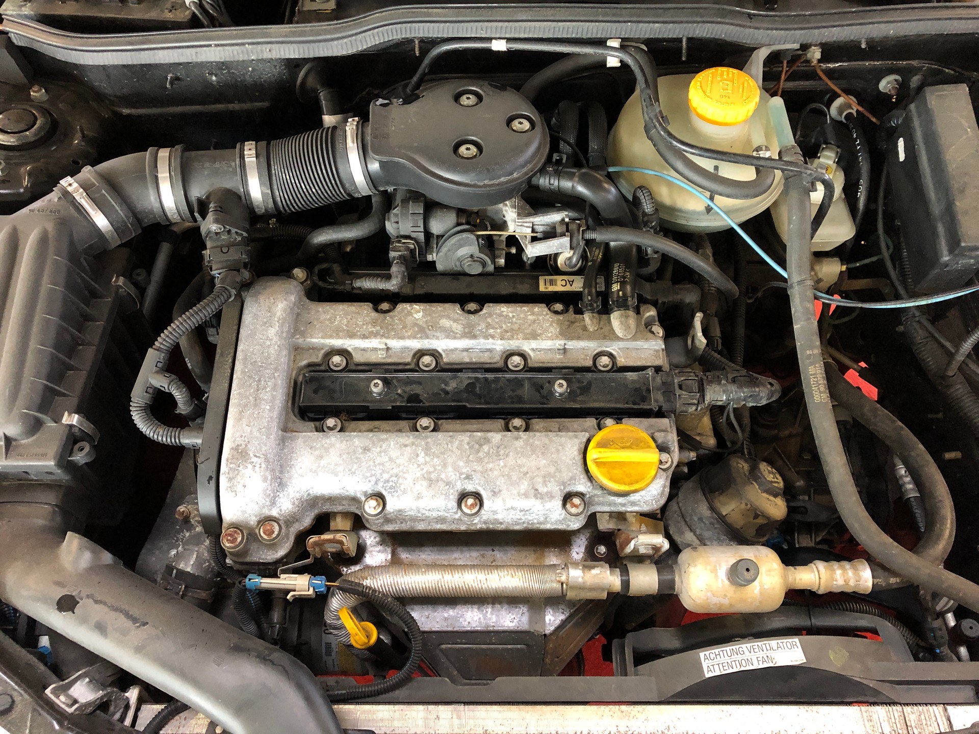 OPEL Corsa 1.2 16V Young - 11