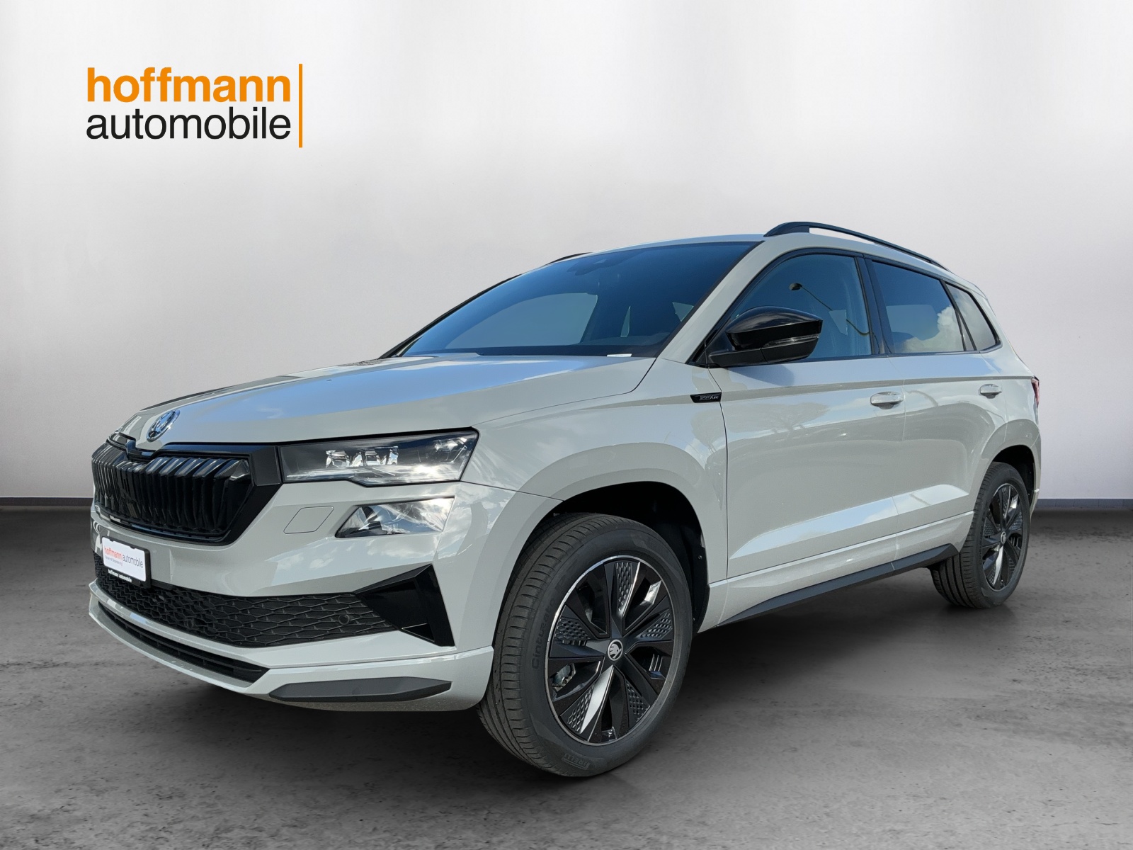 SKODA Karoq 2.0 TSI Dynamic Limited Edition 4x4 DSG
