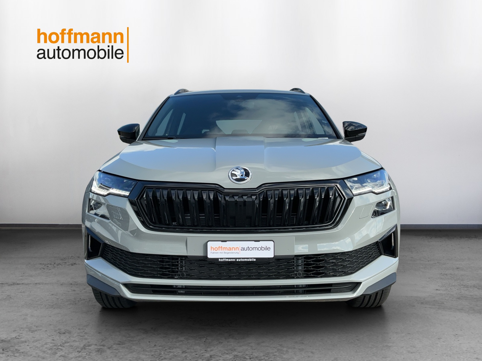 SKODA Karoq 2.0 TSI Dynamic Limited Edition 4x4 DSG - 2