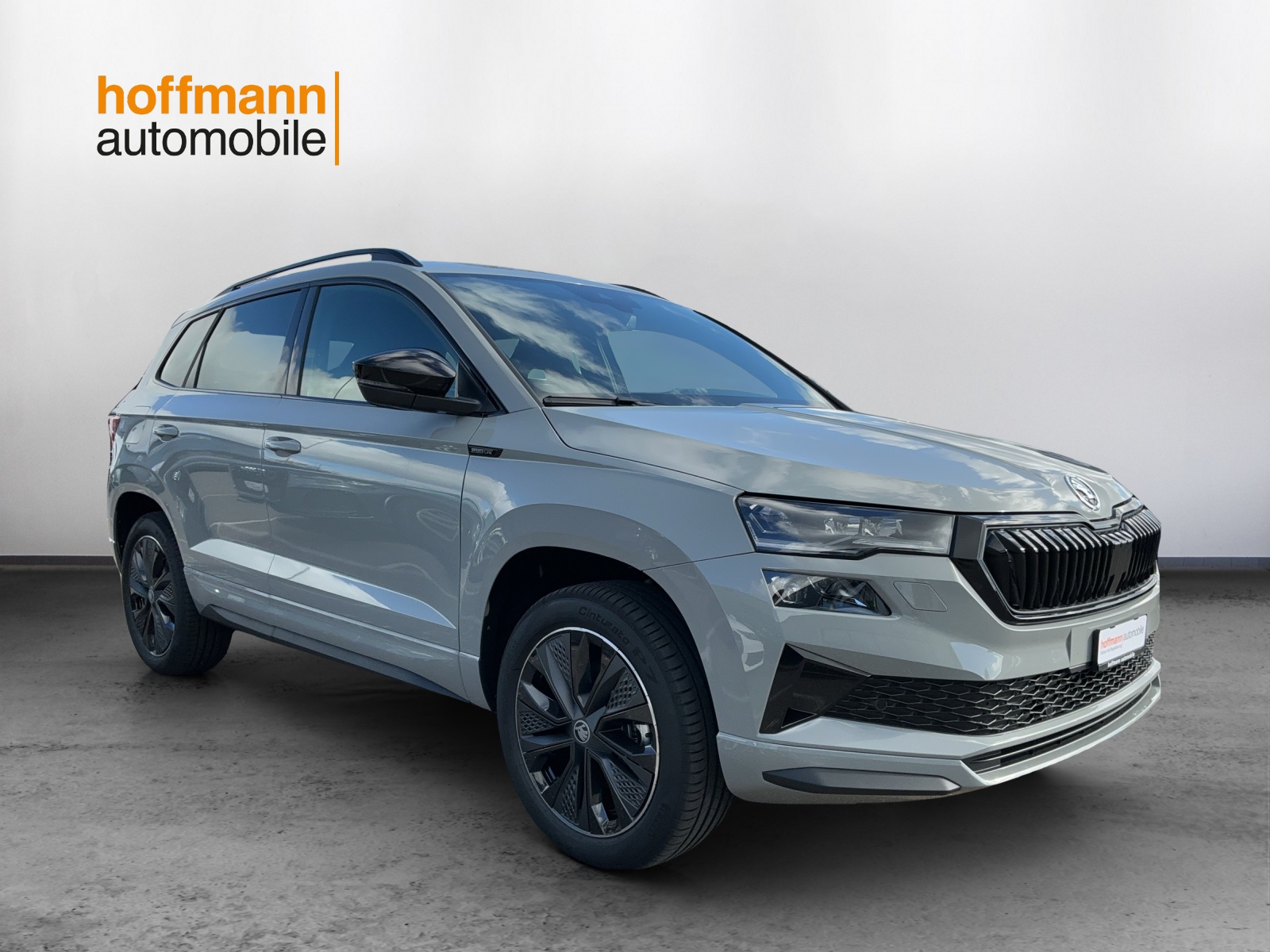 SKODA Karoq 2.0 TSI Dynamic Limited Edition 4x4 DSG - 3