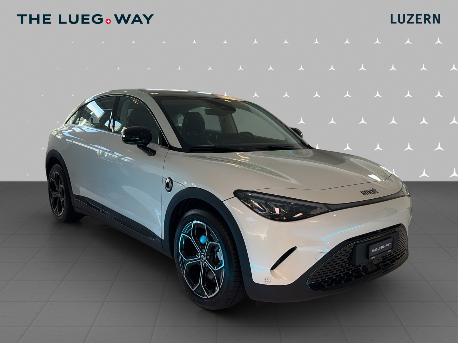 SMART #3 66kWh Pro + - 6