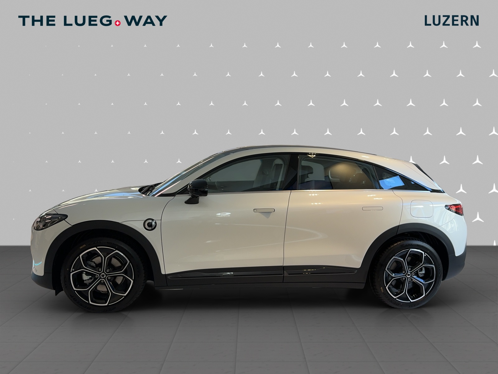 SMART #3 66kWh Pro + - 2