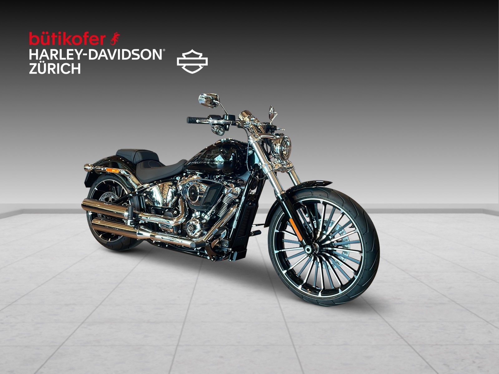 HARLEY-DAVIDSON FXBR Breakout 117 - 2